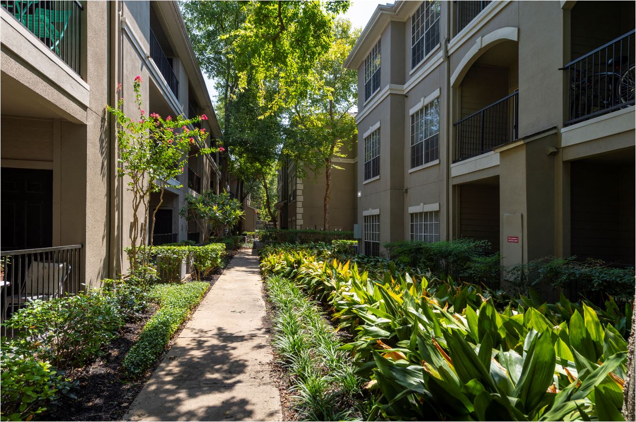 a walkway between two apartment buildings with plants