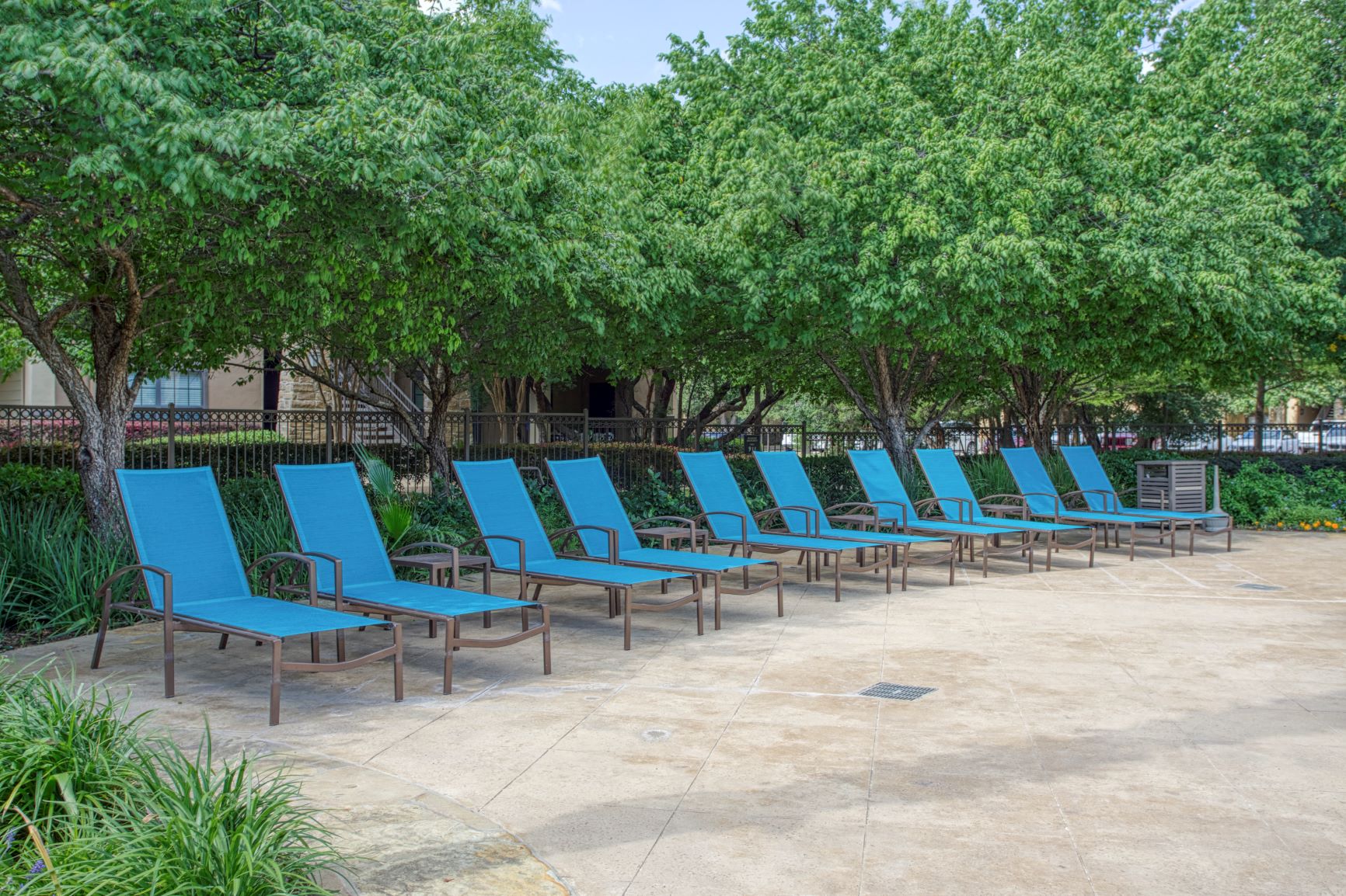 a row of blue lounge chairs sitting under trees