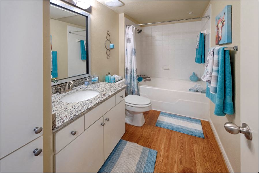 a bathroom with a toilet and a sink and a mirror