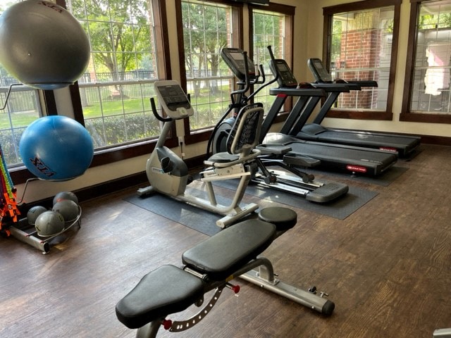 Lakes at Cinco Ranch Apartments in Katy, TX Gym