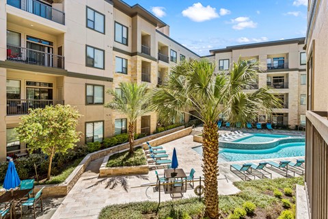 A pool area with a palm tree and chairs.
