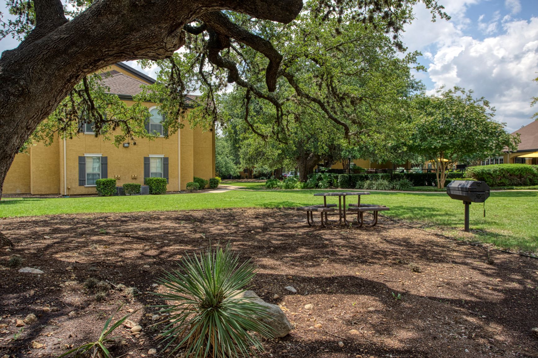 a picnic table under a tree in front of a house