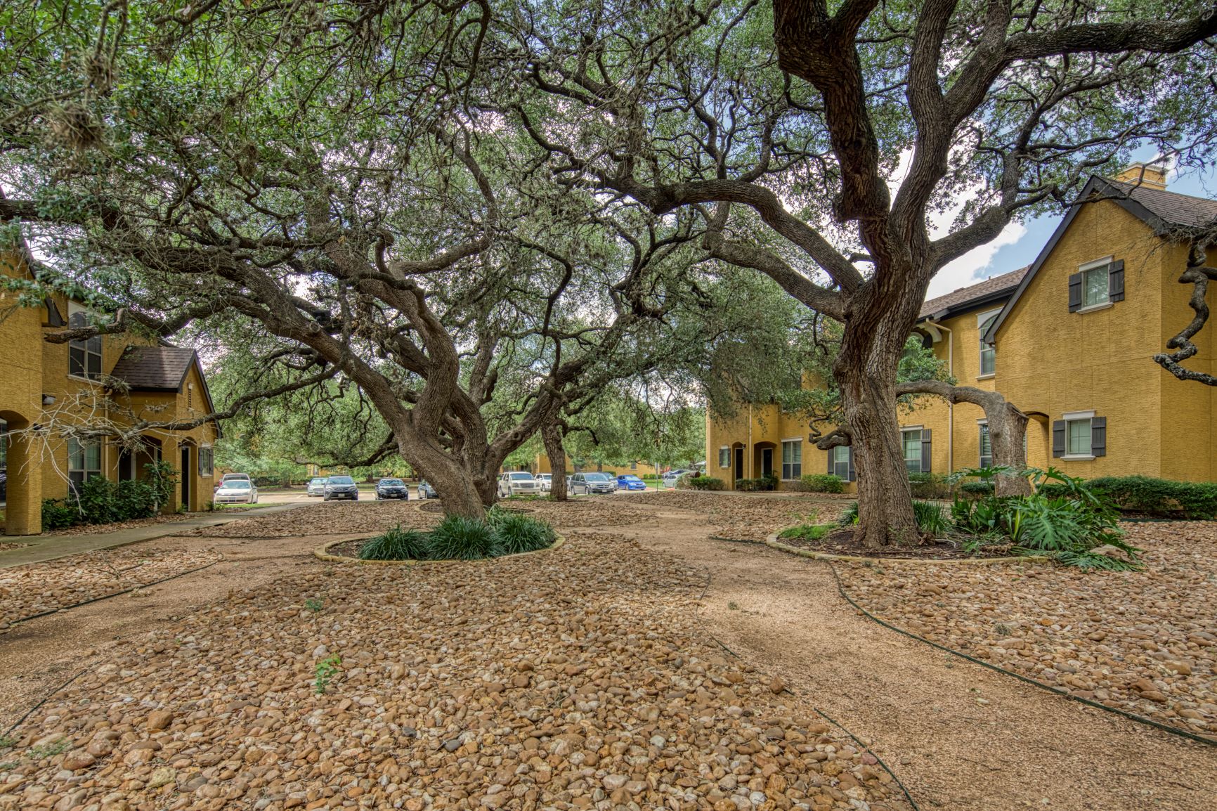 a courtyard with trees and two yellow houses