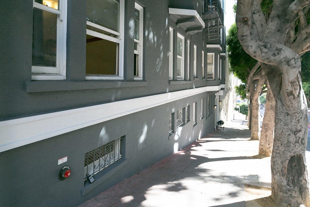 A tree is next to a building with a red light on it.