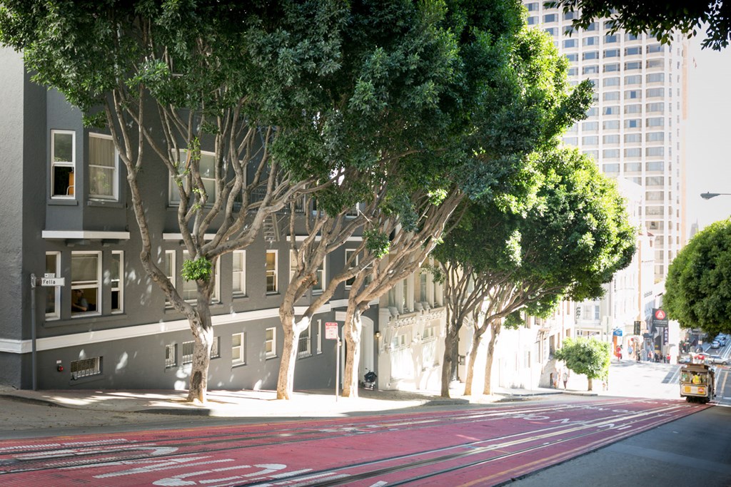 A tree-lined street with a red crosswalk.