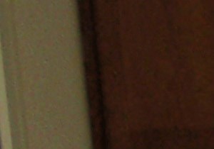 Entry Way Image of an open door to the outside with small closet behind it - Photo Gallery 2