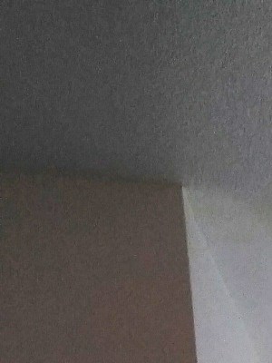 Room Image of space with large windows and light overhead - Photo Gallery 2