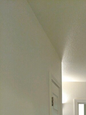Hall Hall with doors to bedroom, hall closet and ending in bathroom. Flooring is carpet.