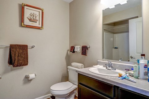 a bathroom with a sink toilet and a mirror
