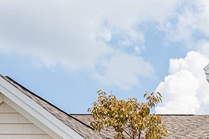 Pet Friendly Homes For Rent Ontario County Ny Pet Friendly Homes For Rent Ontario County Ny