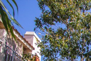 Back of Property