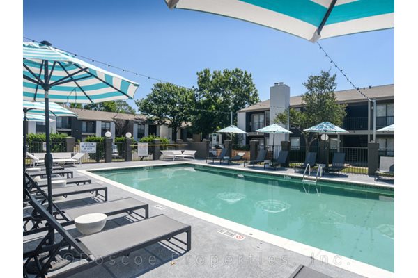 Canvas Apartments Austin : On the street of west william cannon drive