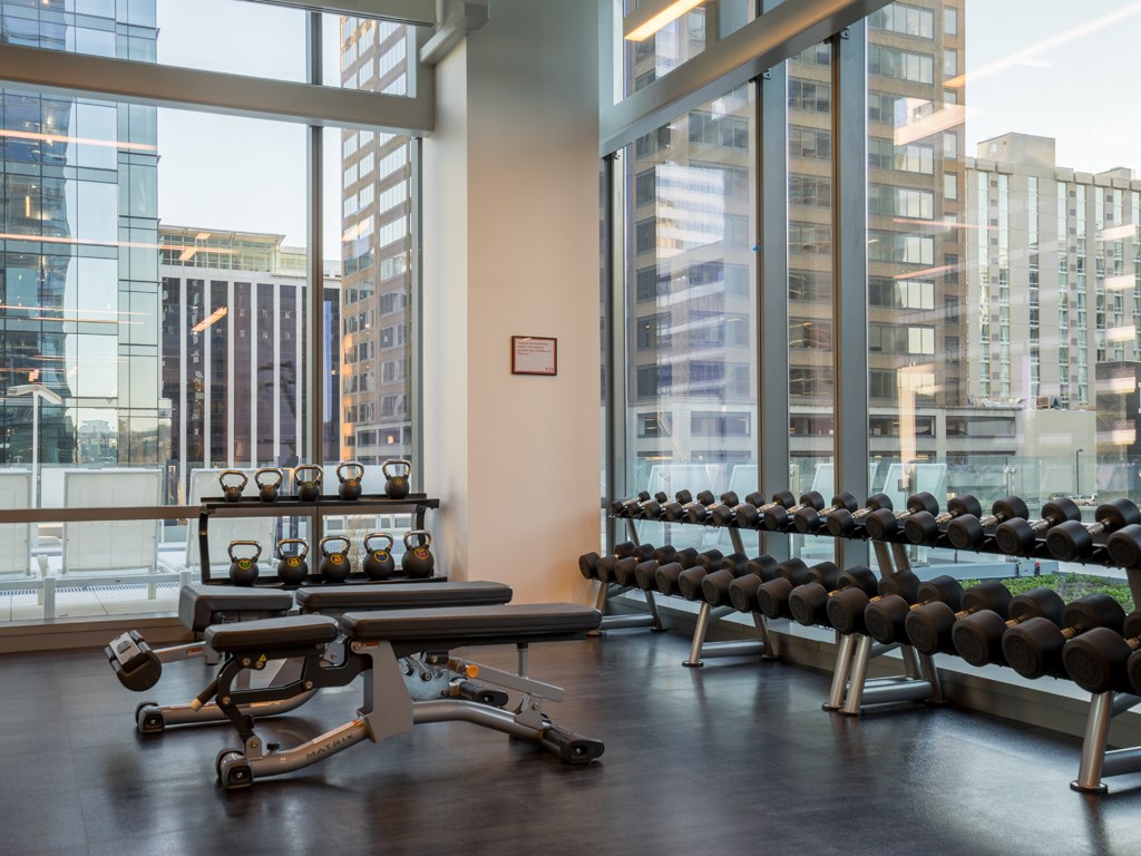 a fitness room with weights and a view of the city