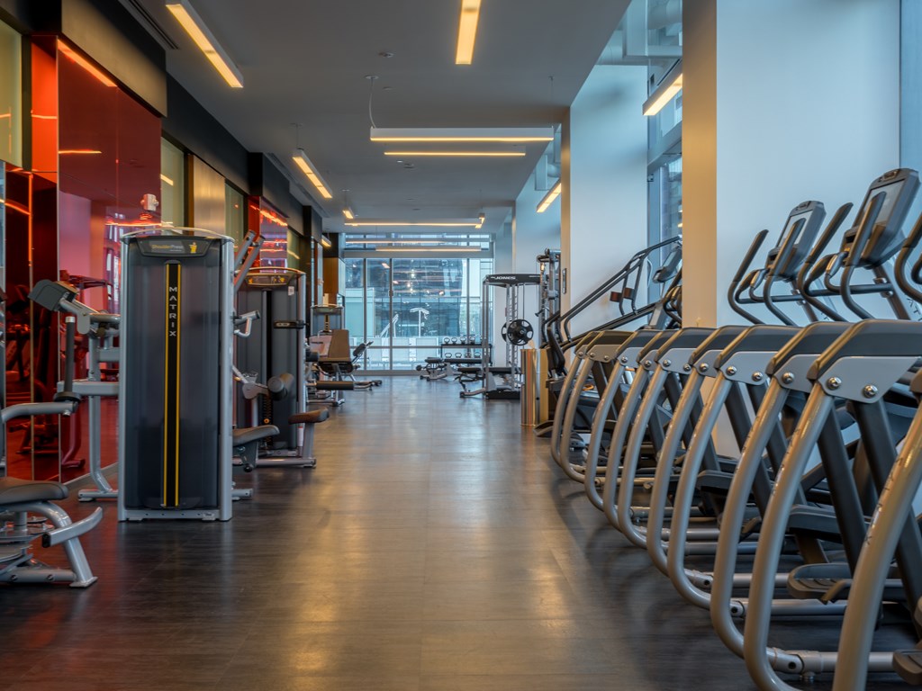 a row of cardio machines in a gym