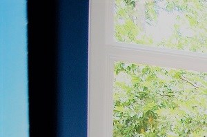 Apartments For Rent Near Moses Cone Health System Rentcaf 233