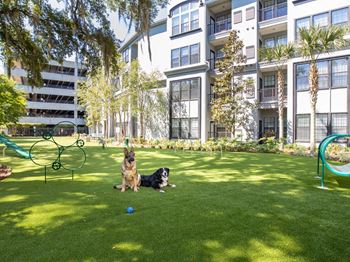 Large Leash Free Dog Park With Agility Course at The Bartram Apartments in Gainesville, FL