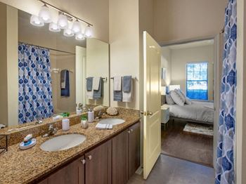 Granite Countertops, Large Mirror and Sink in Bathroom at The Bartram Apartments in Gainesville, FL