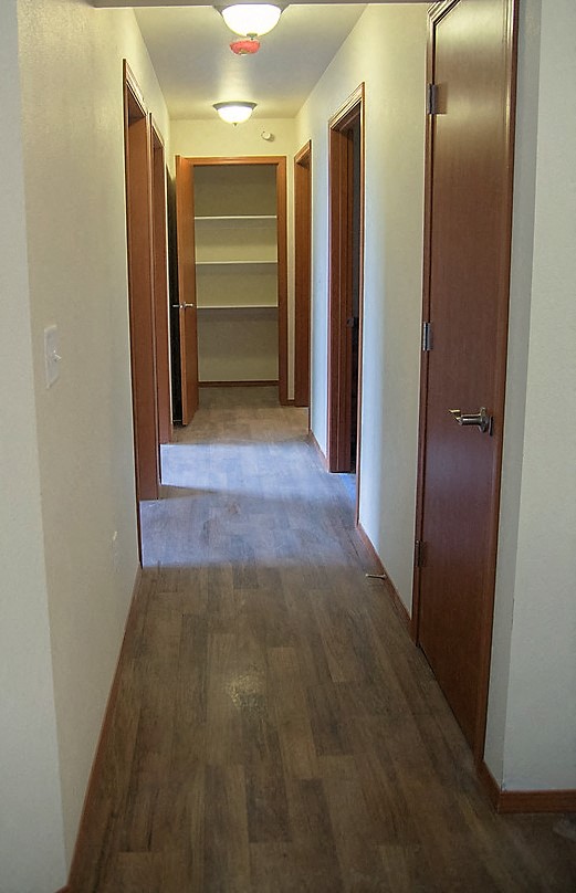 Image of a hallway with shelve closet at the end