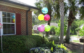 welcomehome cheerful balloons outside office windows - Photo Gallery 4
