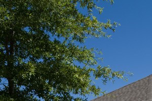 Bridgewater Apartment Homes 1501 Old Monrovia Road