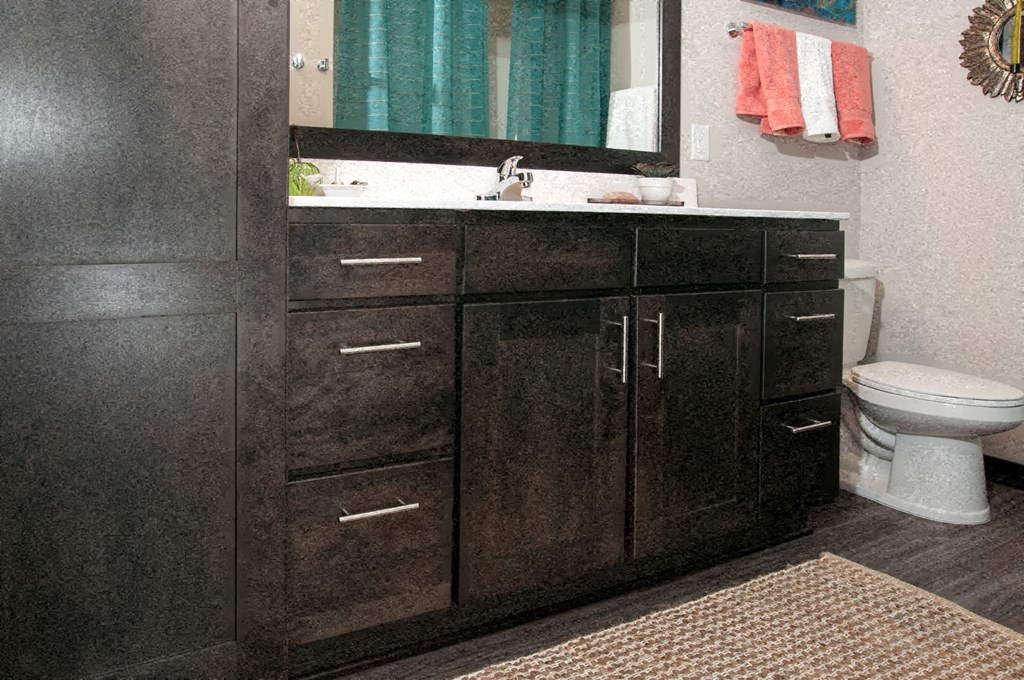 Custom Vanity Storage at The Shoreham, St. Louis Park, Minnesota