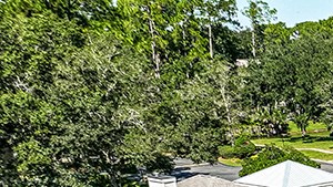 an aerial view of a mansion with a swimming pool and a pool house and a