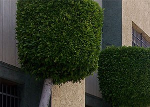 Cheap Apartments In Canoga Park Cheap Apartments In Canoga Park