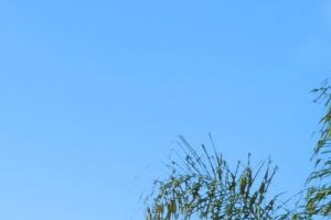 Topanga Terrace Canoga Park Apartments for rent Gate - Photo Gallery 4