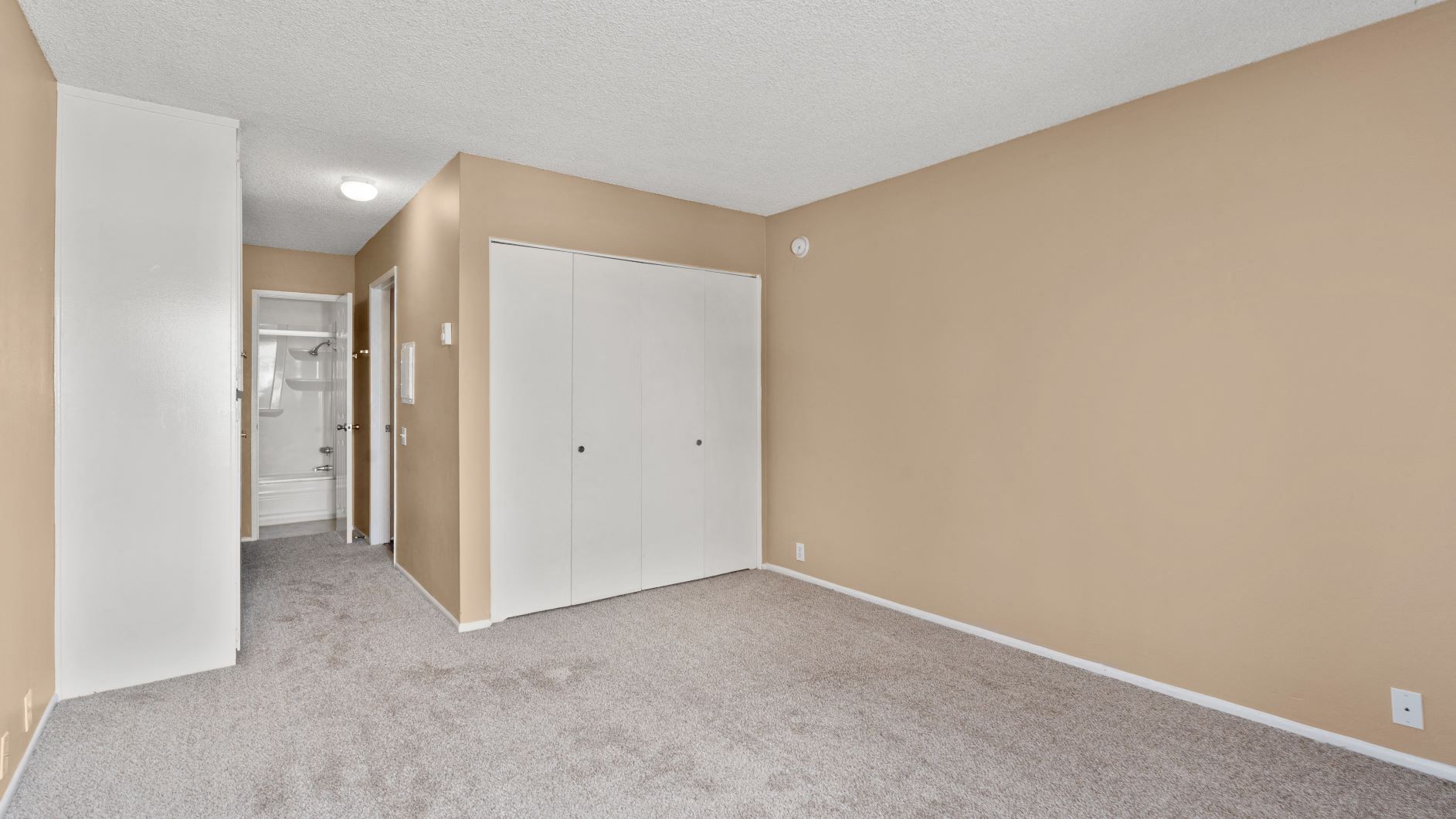 Culver City Apartments Carpet