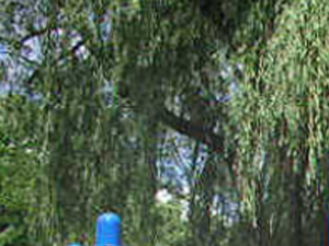 Community playground 1049 S. Westmore-Meyers Rd 1-3 Beds Apartment for Rent - Photo Gallery 5