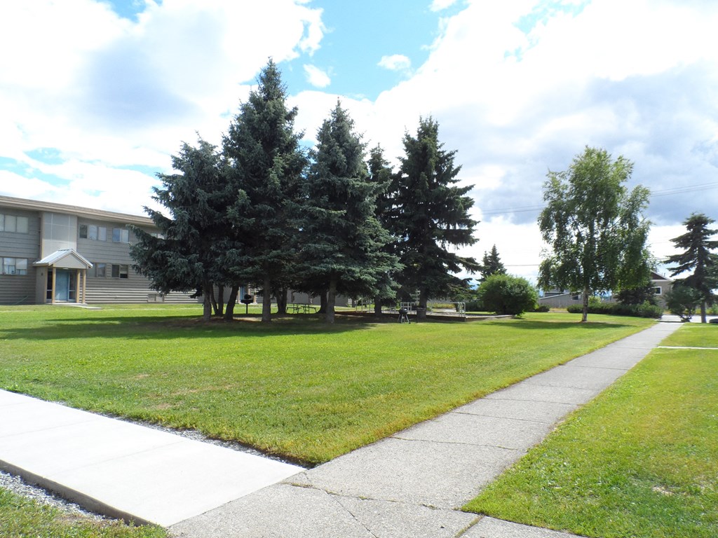 a sidewalk and lawn in front of a house