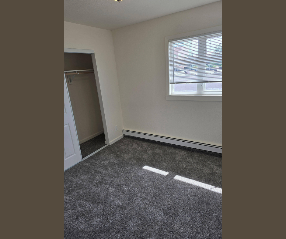 A room with a grey carpet and a window with blinds.