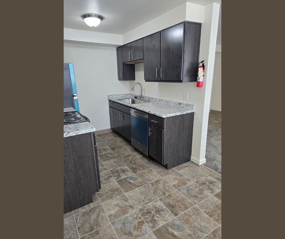 A kitchen with black cabinets and a granite countertop.