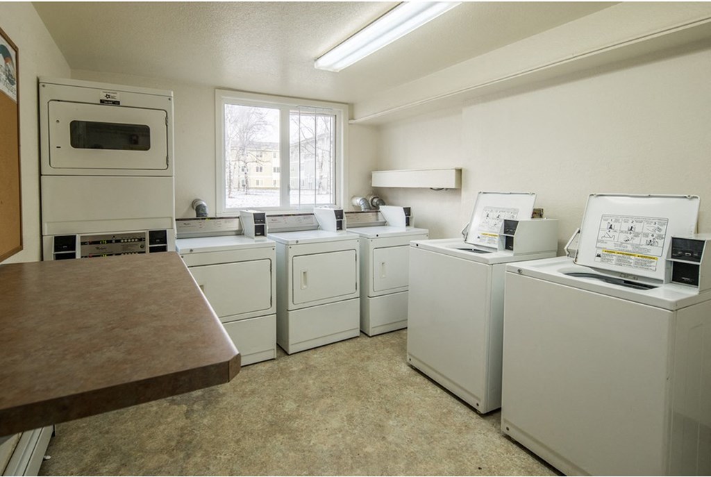 a laundry room with many washes and dryers and a window