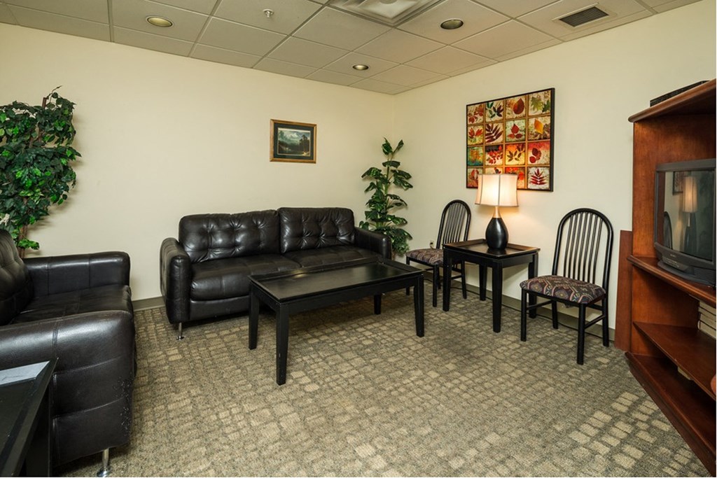 a living room with leather furniture and a television
