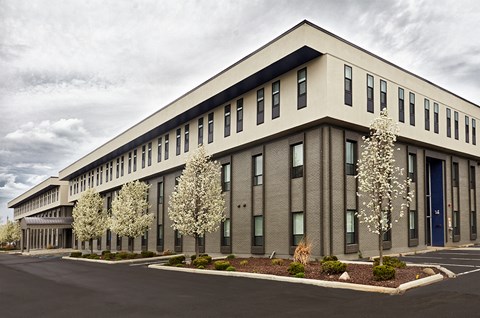 A modern building with a grey facade and white flowering trees in front.