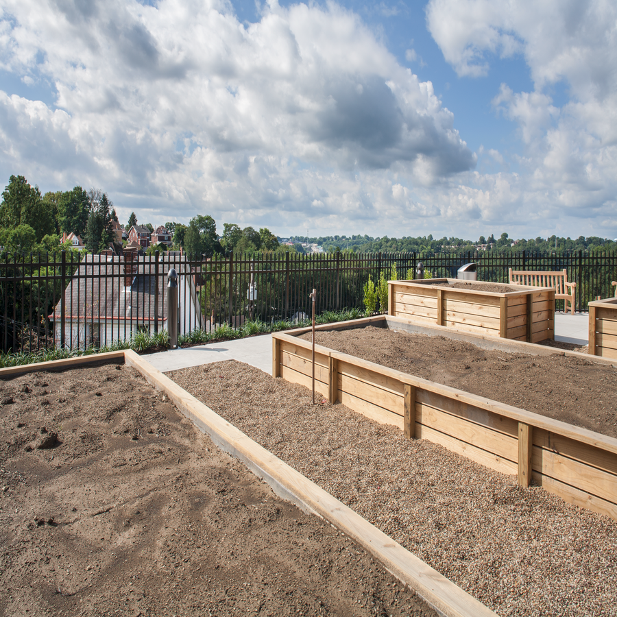 a raised garden with wooden benches and a fence