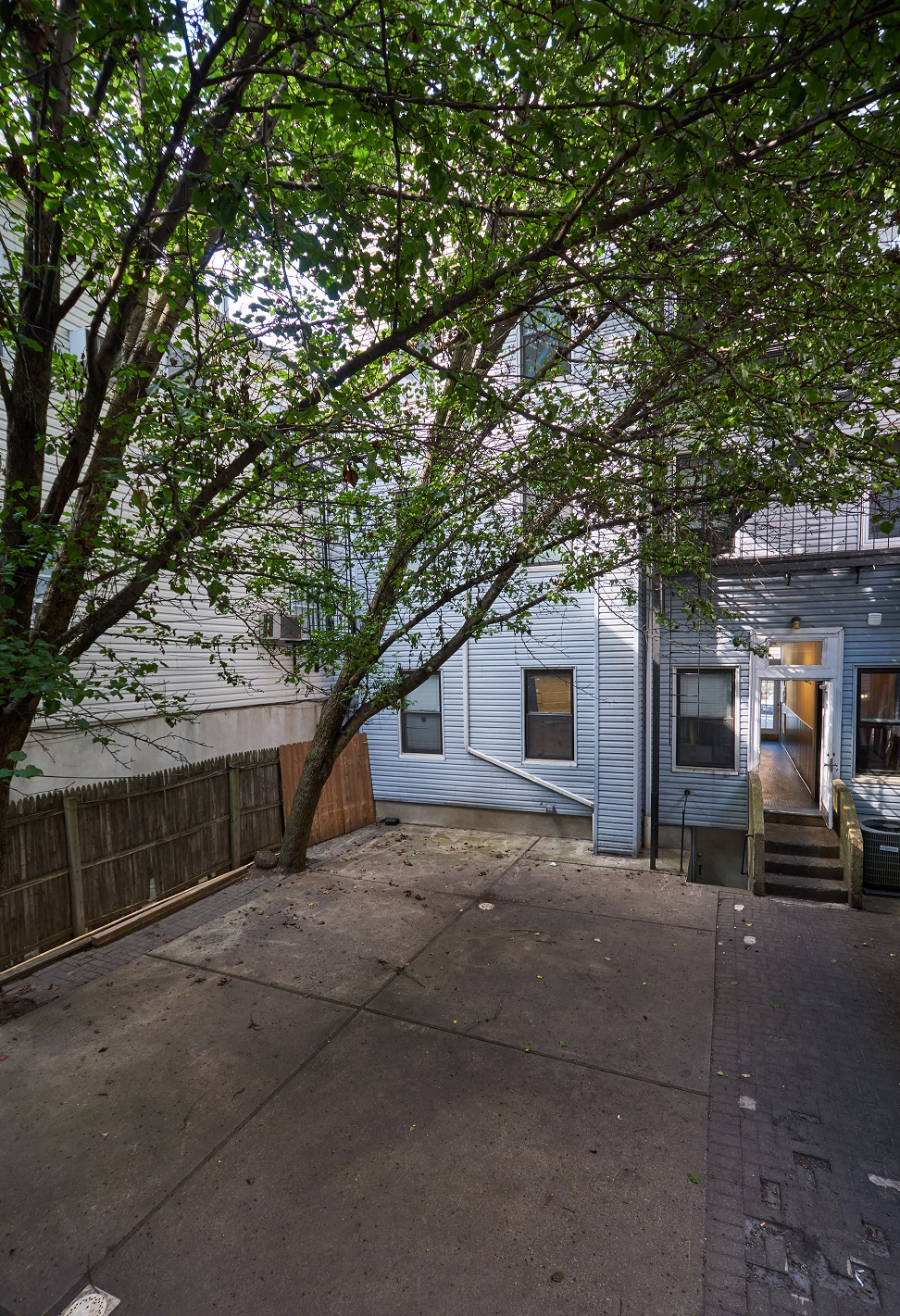 A tree with green leaves is in front of a blue house.