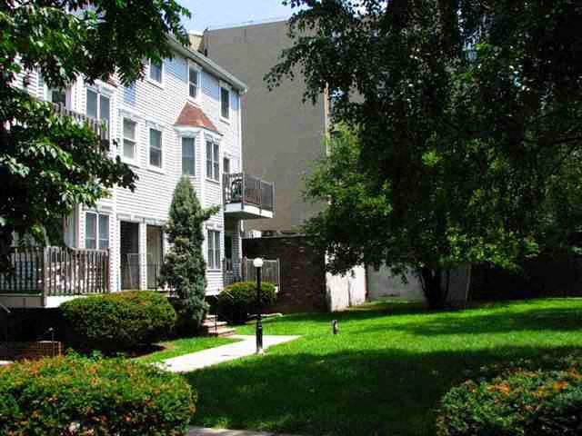 A tree-lined street with a white house on the left.