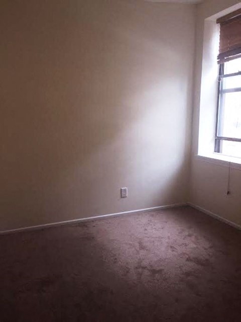 A room with a window and a carpeted floor.