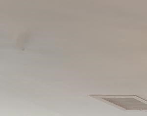 50 REGENT STREET Studio-2 Beds Apartment for Rent - Photo Gallery 6
