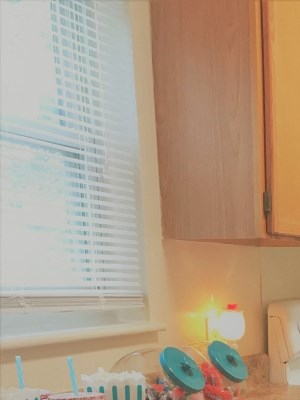 kitchen with long counter, wooden cabinets, wood floor, and white oven
