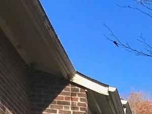 Rent Cheap Apartments In Virginia Beach Va From 824