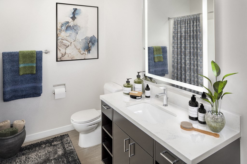 a bathroom with a sink and a toilet and a mirror