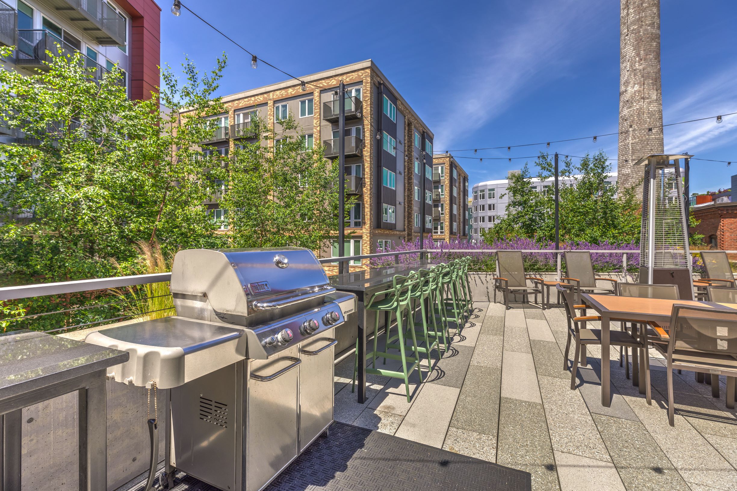 Stack House Apartments 1280 Harrison Street Seattle Wa Rentcafe