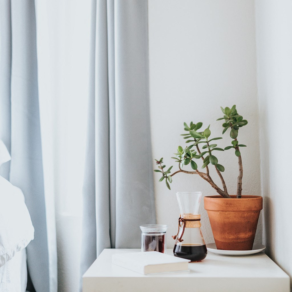 a nightstand with a plant and a vase on it next to a window