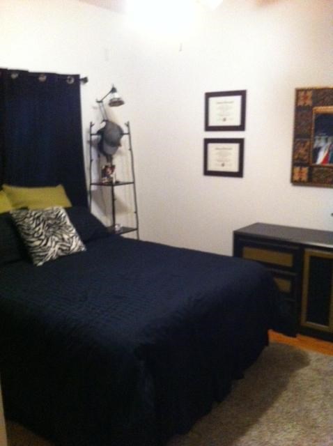 a bedroom with a bed with a blue bed