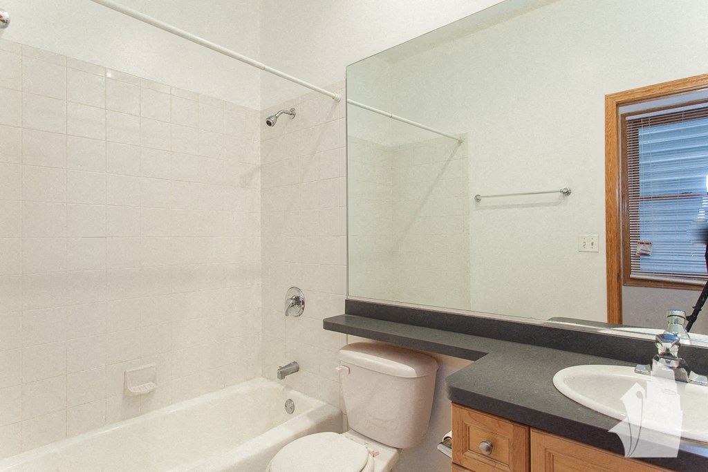 a bathroom with a sink toilet and a bath tub