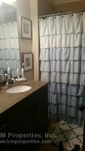 a bathroom with a sink and a shower