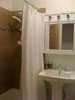 a bathroom with a sink and a shower and a mirror